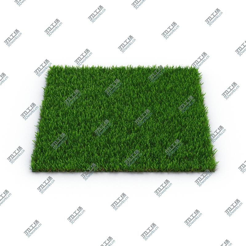 images/goods_img/2021040165/Zoysia Grass/3.jpg